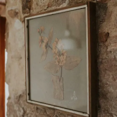 Casa Milina Casa de hóspedes 3*